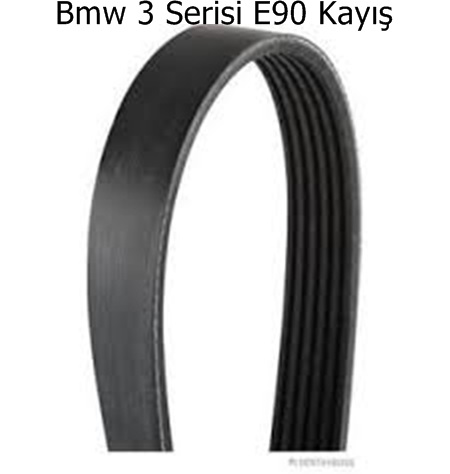 Bmw 3 Serisi E90 Kayış