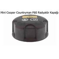 Mini Cooper Countryman F60 Radyat�r Kapa��