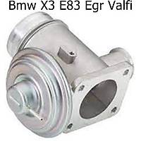 Bmw X3 E83 Egr Valfi
