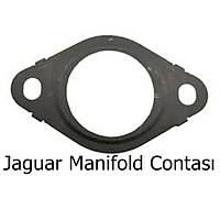 Jaguar Manifold Contasý