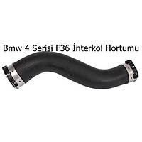 Bmw 4 Serisi F36 �nterkol Hortumu