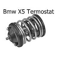 Bmw X5 Termostat
