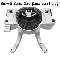 Bmw 5 Serisi G30 anzman Kula