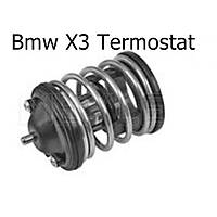Bmw X3 Termostat