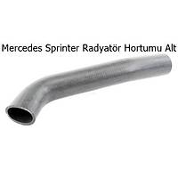 Mercedes Sprinter Radyat�r Hortumu Alt