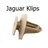 Jaguar Klips