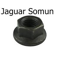 Jaguar Somun