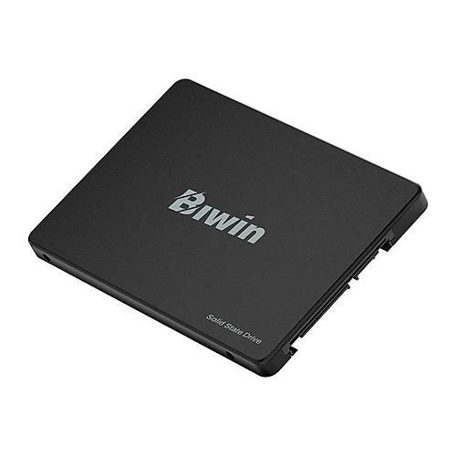 Biwin M100 256GB 2.5