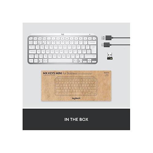 Logitech MX Keys Mini For Business Kablosuz ngilizce Q Klavye