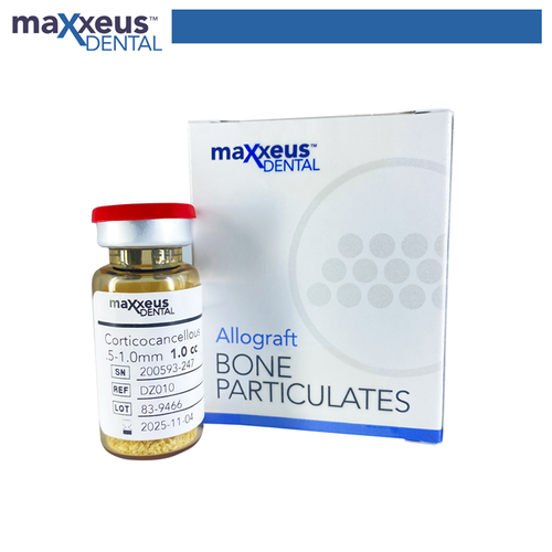 Maxxeus Allograft 5 cc  /  3 Adet