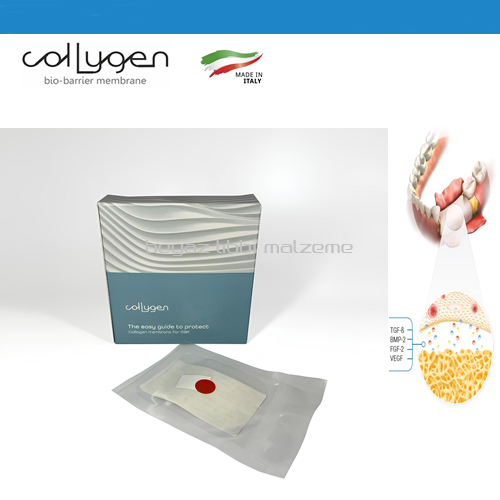 Collygen Membran 15 X 20  6'l 3 Kutu