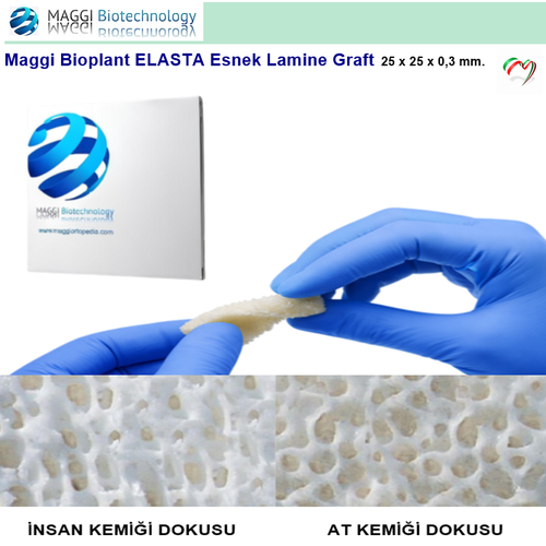 Maggi Bioplant ELASTA Esnek Lamine Graft 25 x 25 x 3 mm. KAMPANYA 10+1 Adet