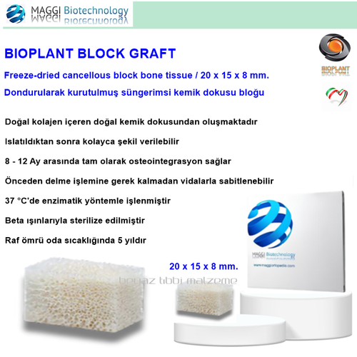 Maggi Bioplant BLOK Graft Spongioso 20 x 15 x 8 mm. 1 Adet