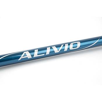 SHIMANO ALIVIO FX TELE SURF 4,20 MT AKSYON 250 GR AIRLIK 614 GR