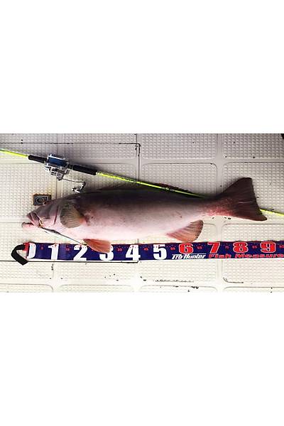 Pro hunter EZ Fish Ruler Balk Metresi 150 cm