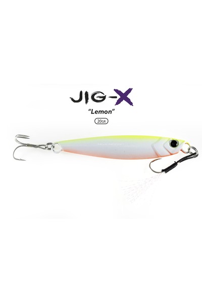 Fujin Jig-X 20gr Light Jigging