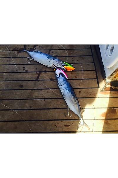 Bonito Jig Head 500gr