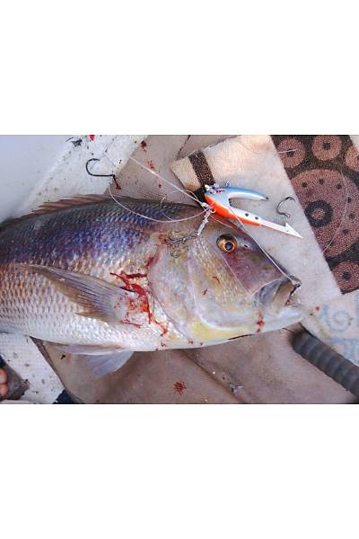 Bonito Jig Head 500gr