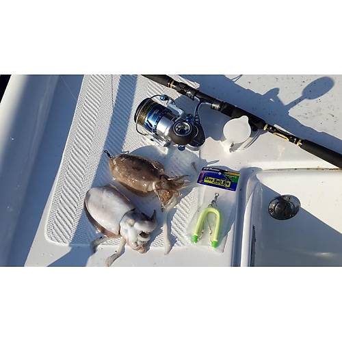 Pro Hunter Cuttle Fish Rig