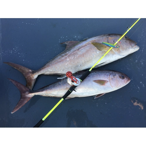 Prohunter Kaido Light Jigging KB-632MLS 2.03m Bait Casting Kam��