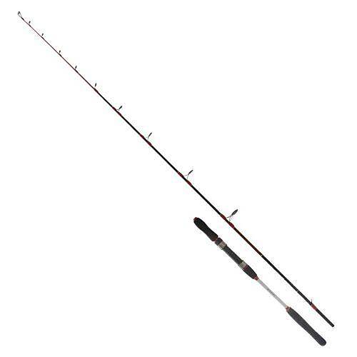 Ryuji Searider 180 Cm 60-180 Gr Jig Kam