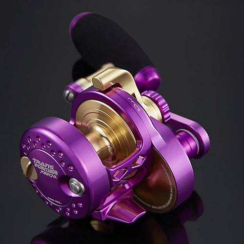 Maxel Hybrid 20CL Purple/Gold