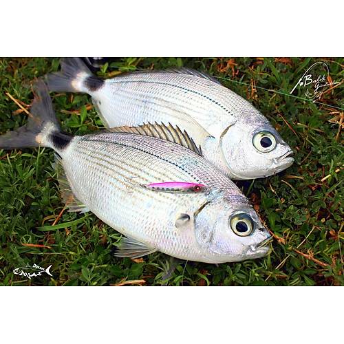 Kendo Baby-JG 34mm 5g Suni Yem