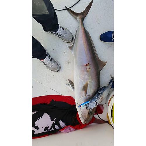 Bonito Jig Head 250 gr