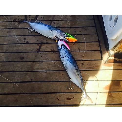 Bonito Jig Head 350gr