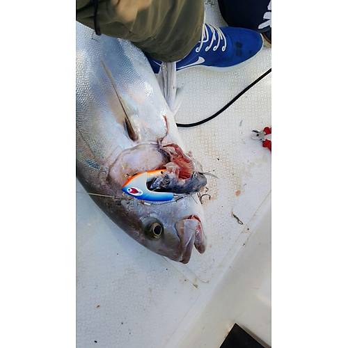 Bonito Jig Head 250 gr