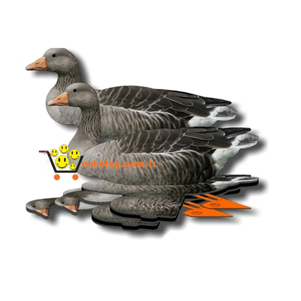 Mühre Kaz - Bean Goose