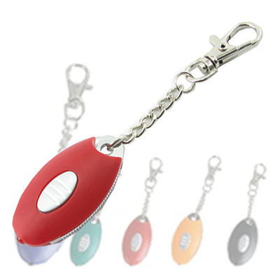 Fr 7021 220 Oval Ledli Anahtarlık