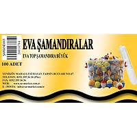 Eva Top Şamandıra Battal