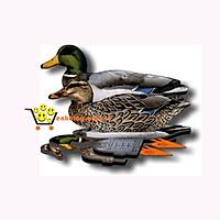 Mhre rdek - Mallard Ducks (3 Erkek-3 Dii)