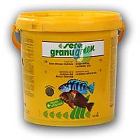 Sera Granu Green