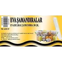 Eva Bulrag �amand�ra 30 Gr.