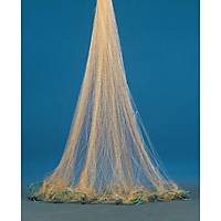 Germe p A 5 Mt 18 Mm