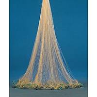 Germe p A 44 Mt 42 Mm