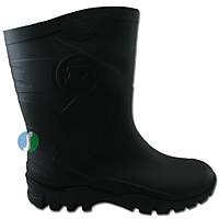 Dunlop Dane Çizme Kısa Siyah No:43