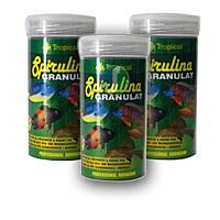 Tropical SprilunaKova