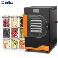 Dalle DFD-10 Y�ksek Teknolojili Freeze Dryer Dondurarak Kurutma F�r�n� - Liyofilizat�r