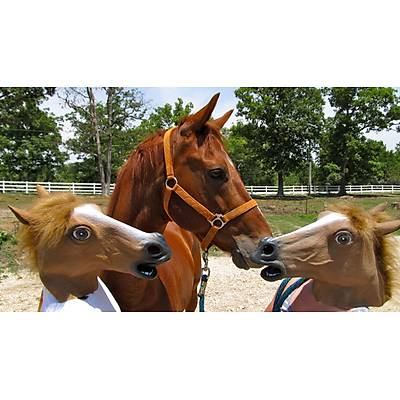 At Kafas Maskesi - Horse Head Mask