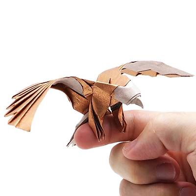 Origami - Kağıt Katlama Sanatı