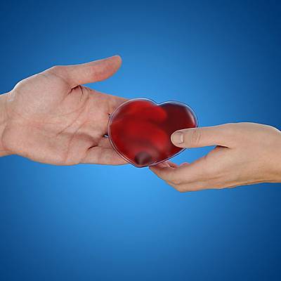 Cep Istc - Exothermic  Hand Warmers