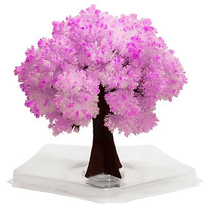 Magic Sakura - Sihirli Ağaç