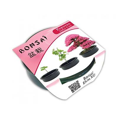 Bonsai Bitki Yetiştirme Kiti - Grow It Bonsai
