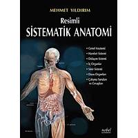 Resimli Sistematik Anatomi Mehmet Yýldýrým