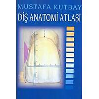 Palme Yayınevi  Diş Anatomi Atlası Mustafa Kutbay