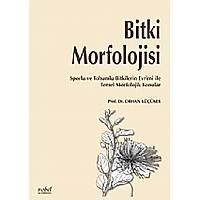 Nobel Tp Kitabevleri Bitki Morfolojisi Sporlu ve Tohumlu Bitkilerin Evrimi ile Temel Morfolojik Konular