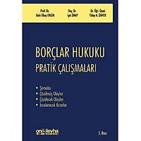On ki Levha Yaynclk Borlar Hukuku Pratik almalar Baki lkay, Engin Ik nay ,Tlay Aydn nver